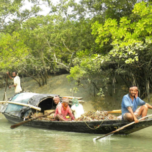 the prople who live by the tide